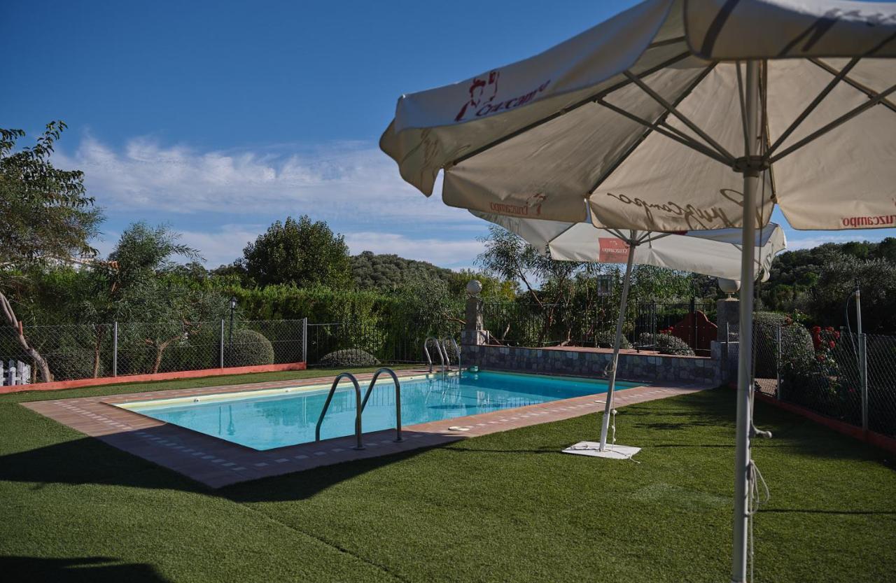 Basilio Holiday home Constantina